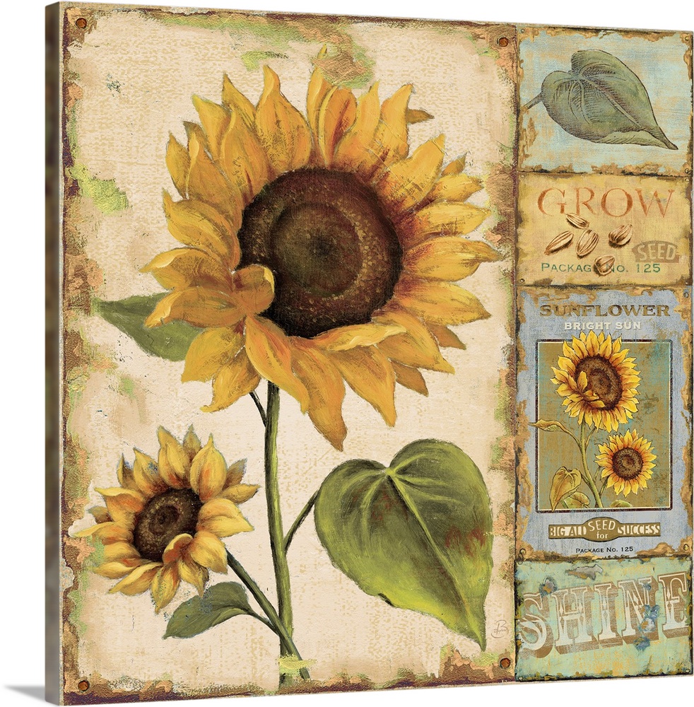 Retro wall docor featuring vintage illustrations of sunflowers, leaves, seeds, and seed packets.