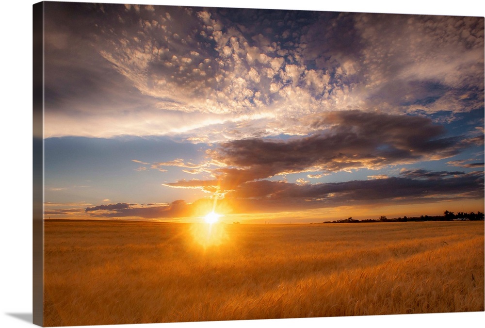 Landscape photograph of a field with the sun rising right on the horizon line and patterned clouds in the sky.