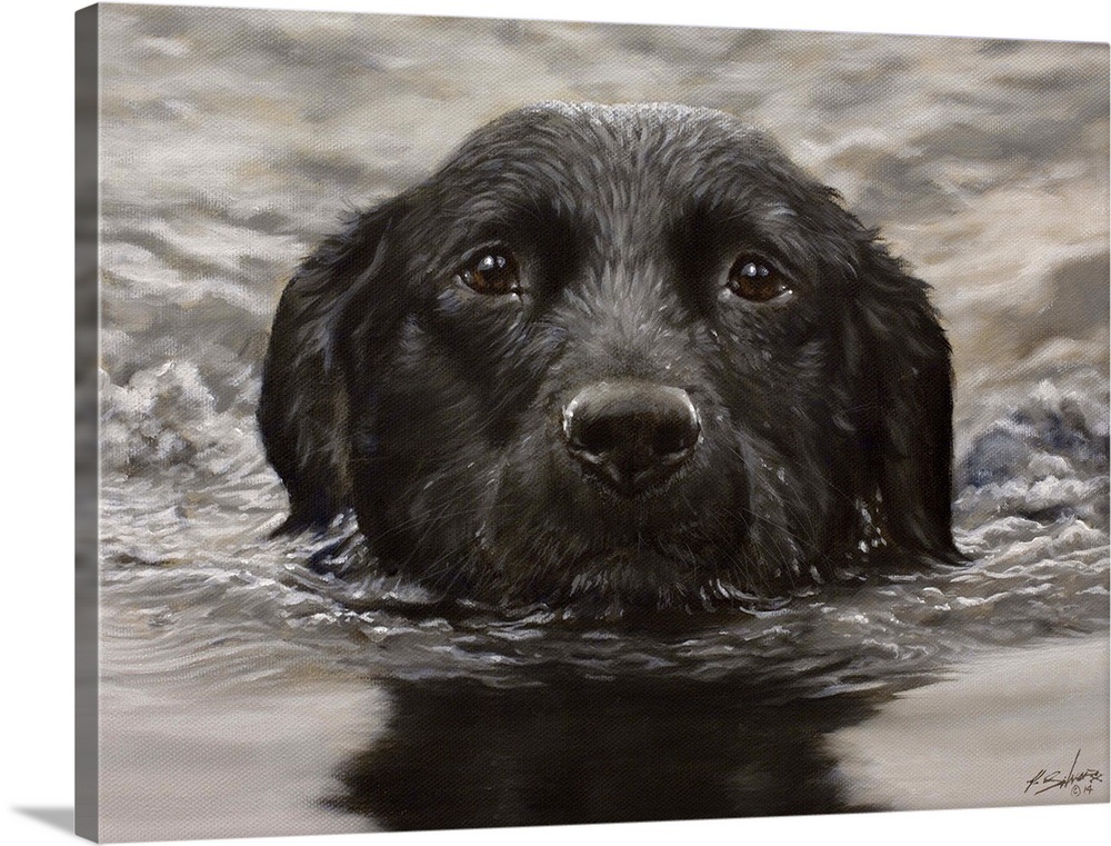 Swimming Labrador Wall Art, Canvas Prints, Framed Prints, Wall Peels