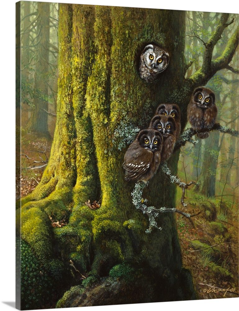 Owls in a tree.