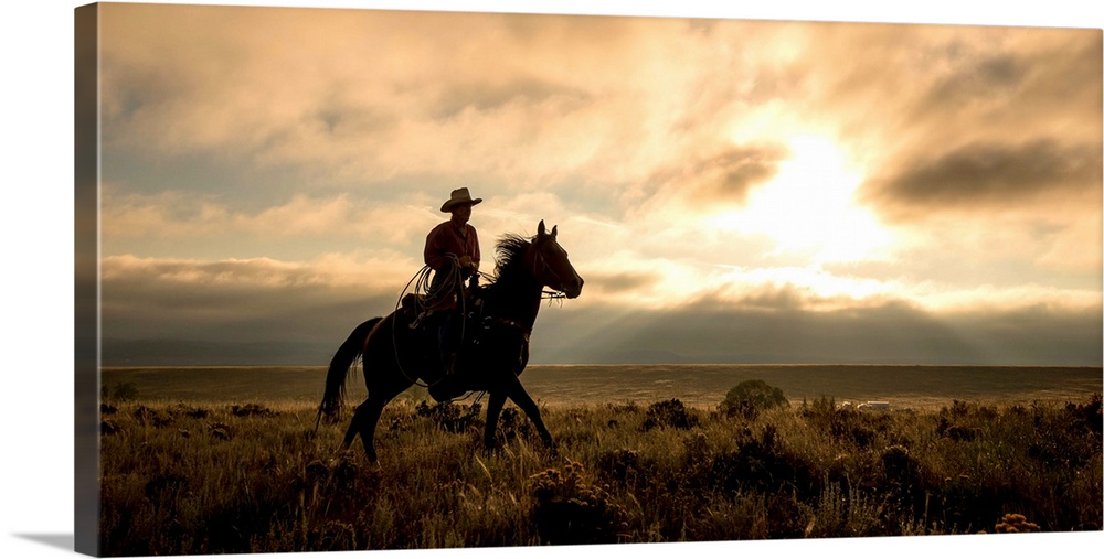 Photograph of a cowboy riding a horse through a field at sunset.