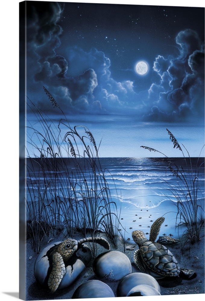 Night over the ocean with turtles hatching.