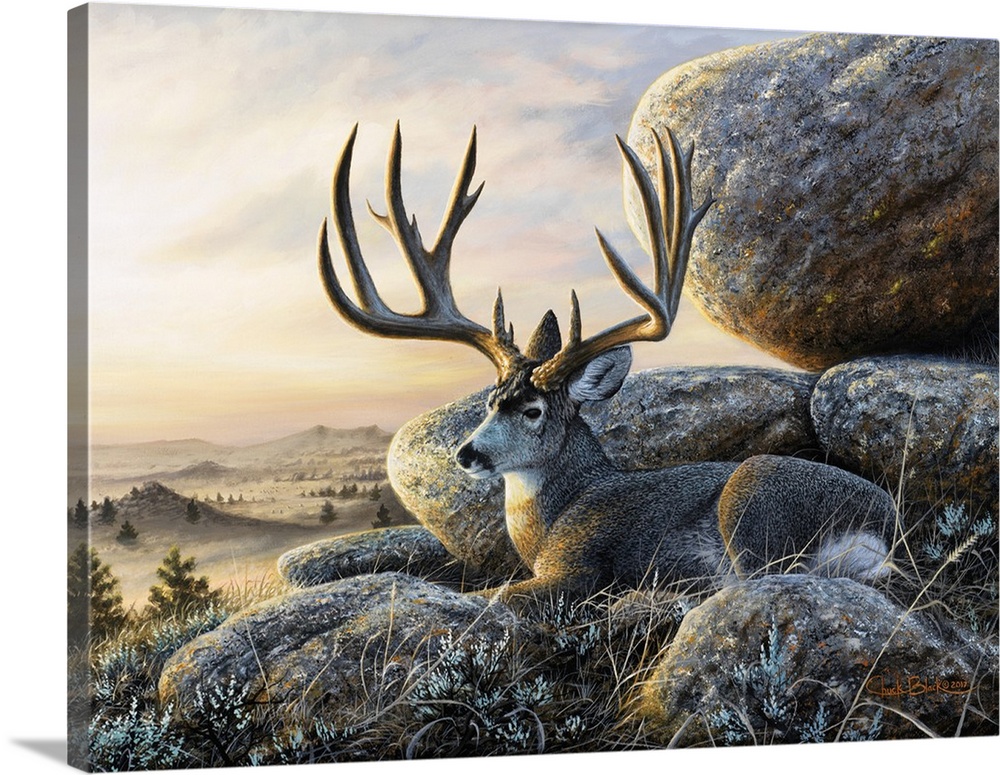 Contemporary wildlife painting of a buck with large antlers resting next to large boulders.