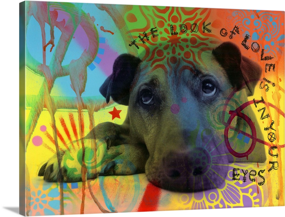 "The Look of Love is in Your Eyes" handwritten around a portrait of a dog with sad eyes on a colorful graffiti style backg...