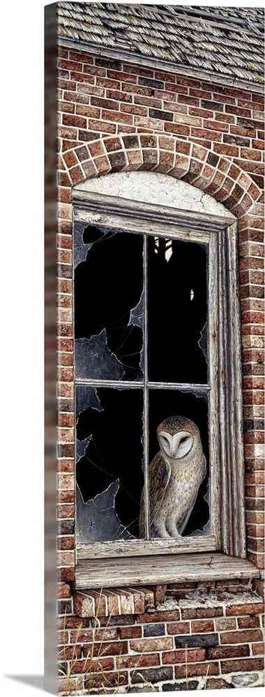 an owl perched in a window pane with the glass broken out of it in a brick building