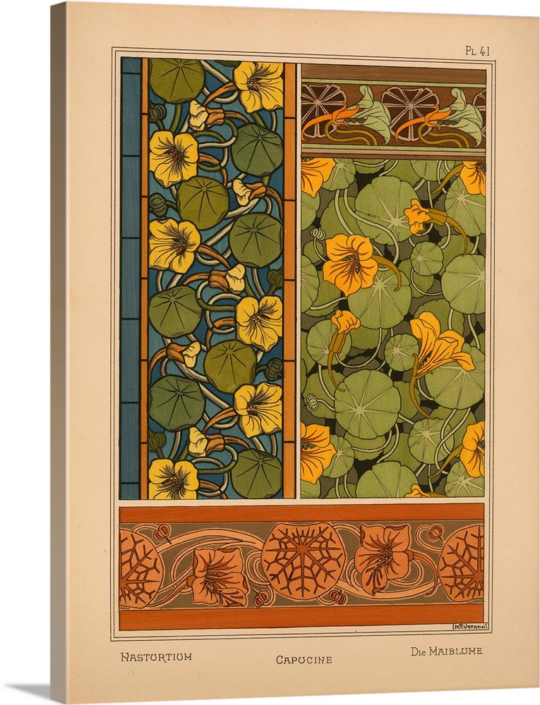 La Plante et ses applications ornementales, Eugene Grasset, Plate 41 - Nastortium
