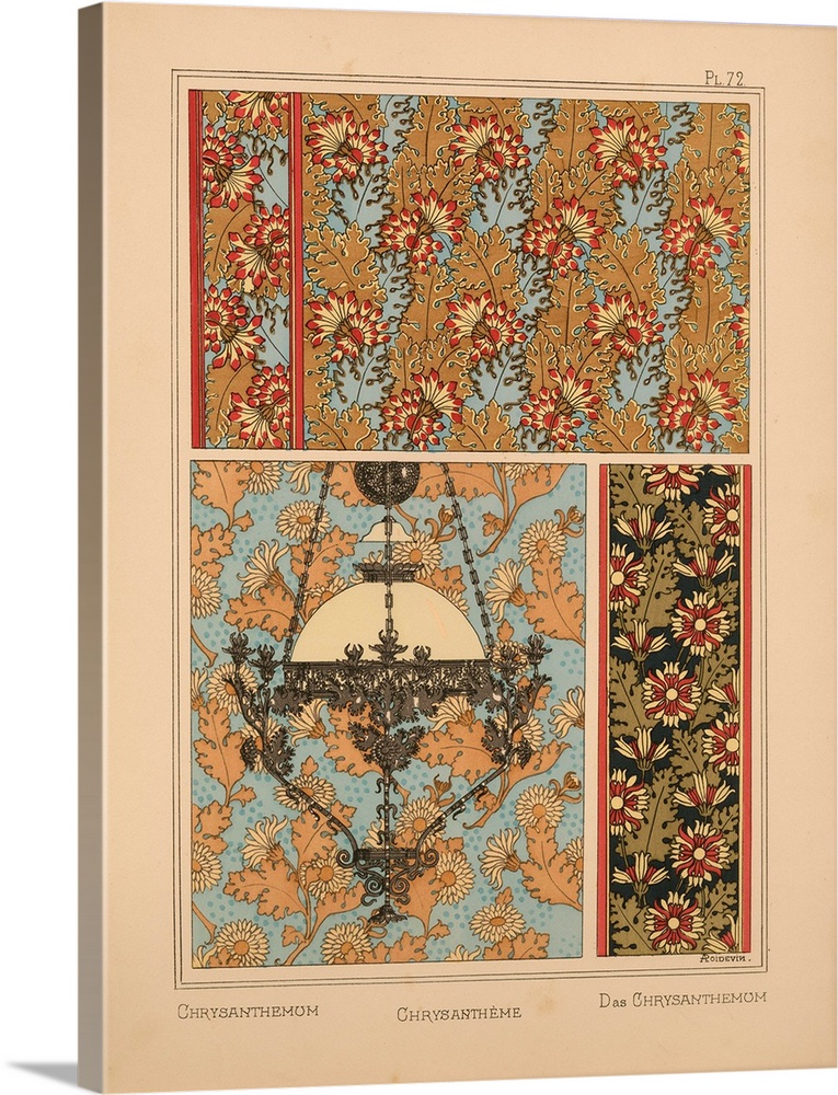 La Plante et ses applications ornementales, Eugene Grasset, Plate 72 - Chrysanthemum