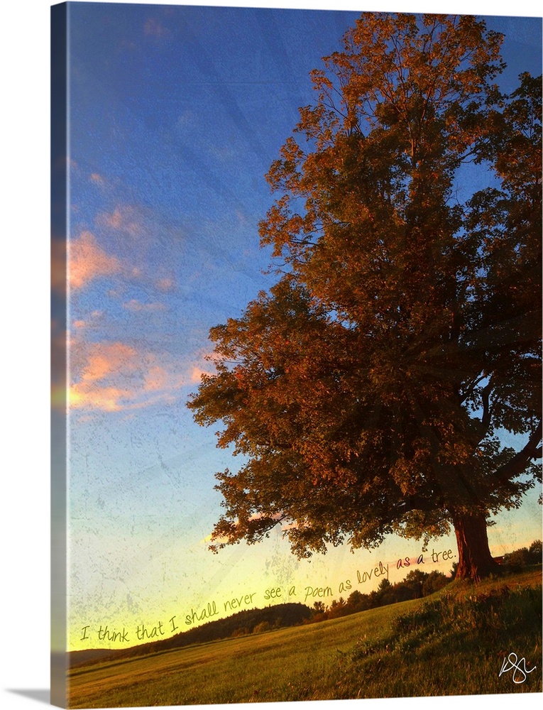 Motivational text against background photograph of a countryside scene.