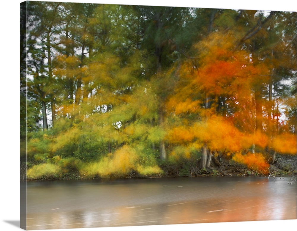 An artistic photograph of motion blurred forest trees in autumn foliage.