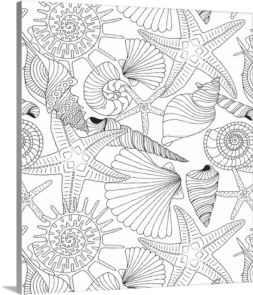 Tropical themed black and white line art of different types of seashells and starfish.