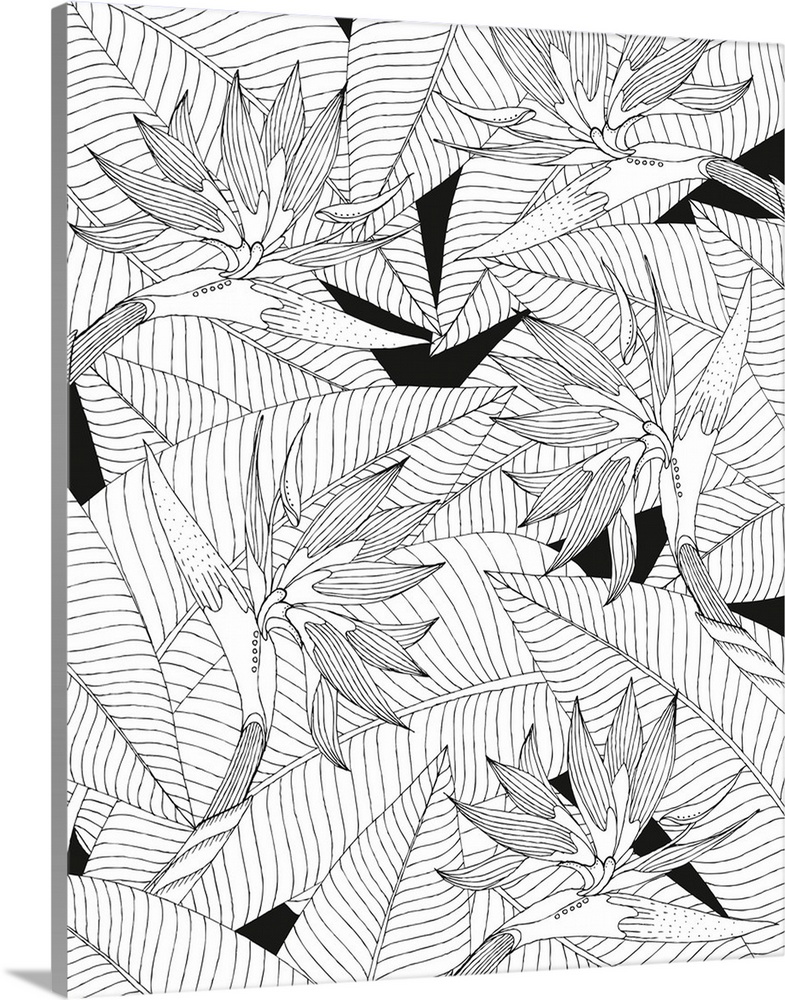 Black and white line art of birds of paradise flowers with a leafy background.