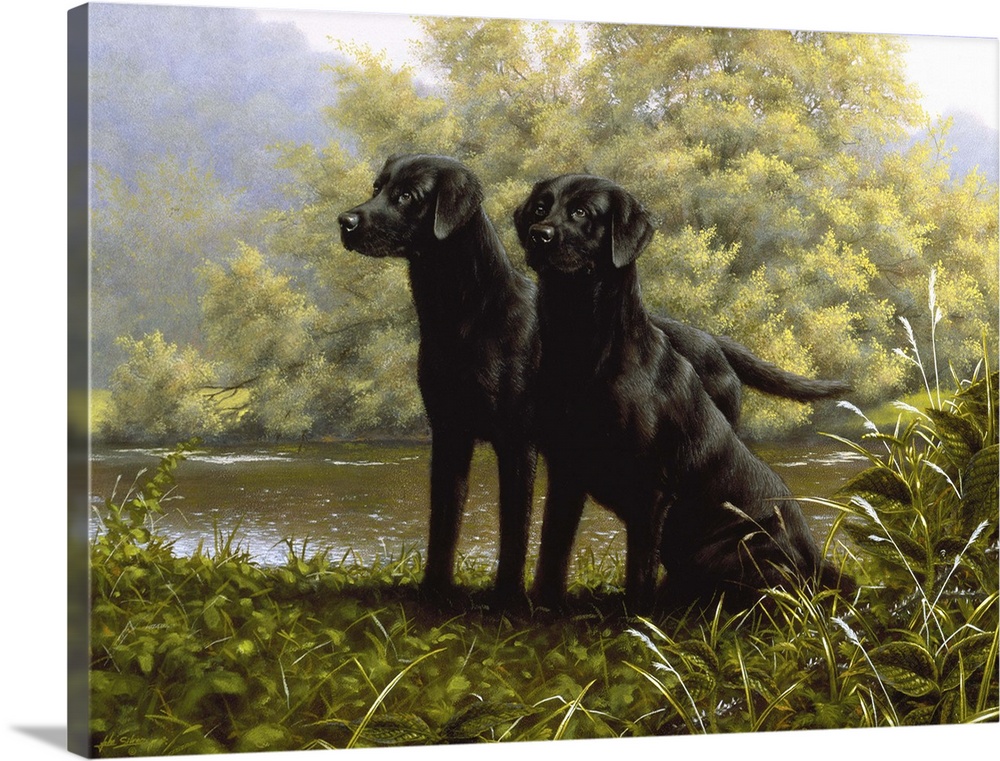 Contemporary painting of two black labs beside a stream.