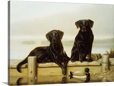 Two Labs On A Dock