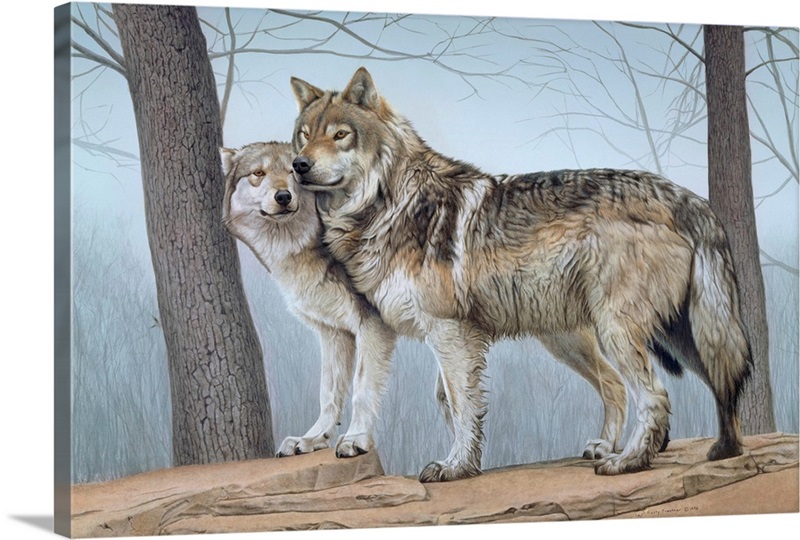 https://static.greatbigcanvas.com/images/singlecanvas_thick_none/art-licensing/two-wolves,2214367.jpg?max=800