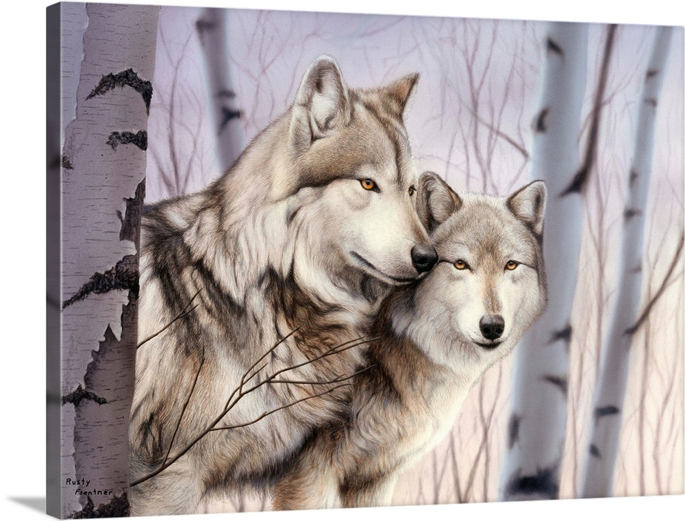 Two white wolves standing in birches.
