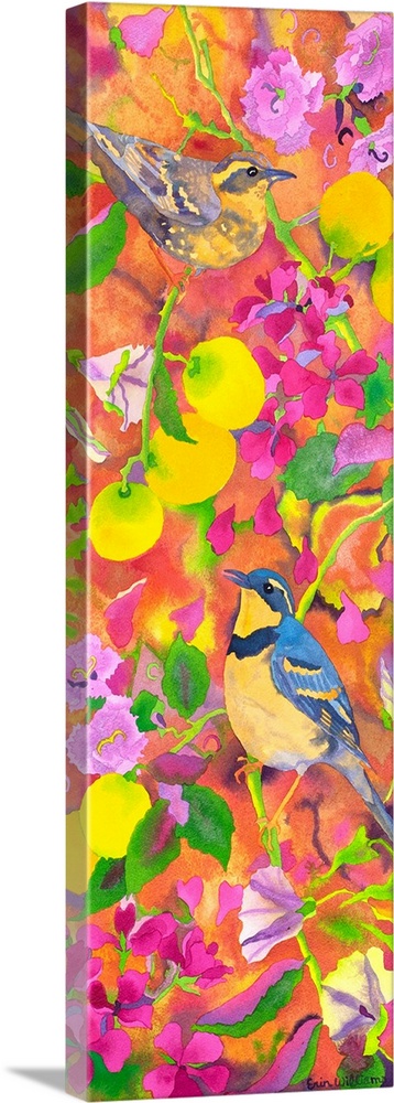 Varied Thrushes Head South