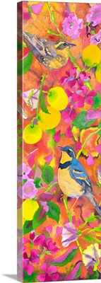 Varied Thrushes Head South