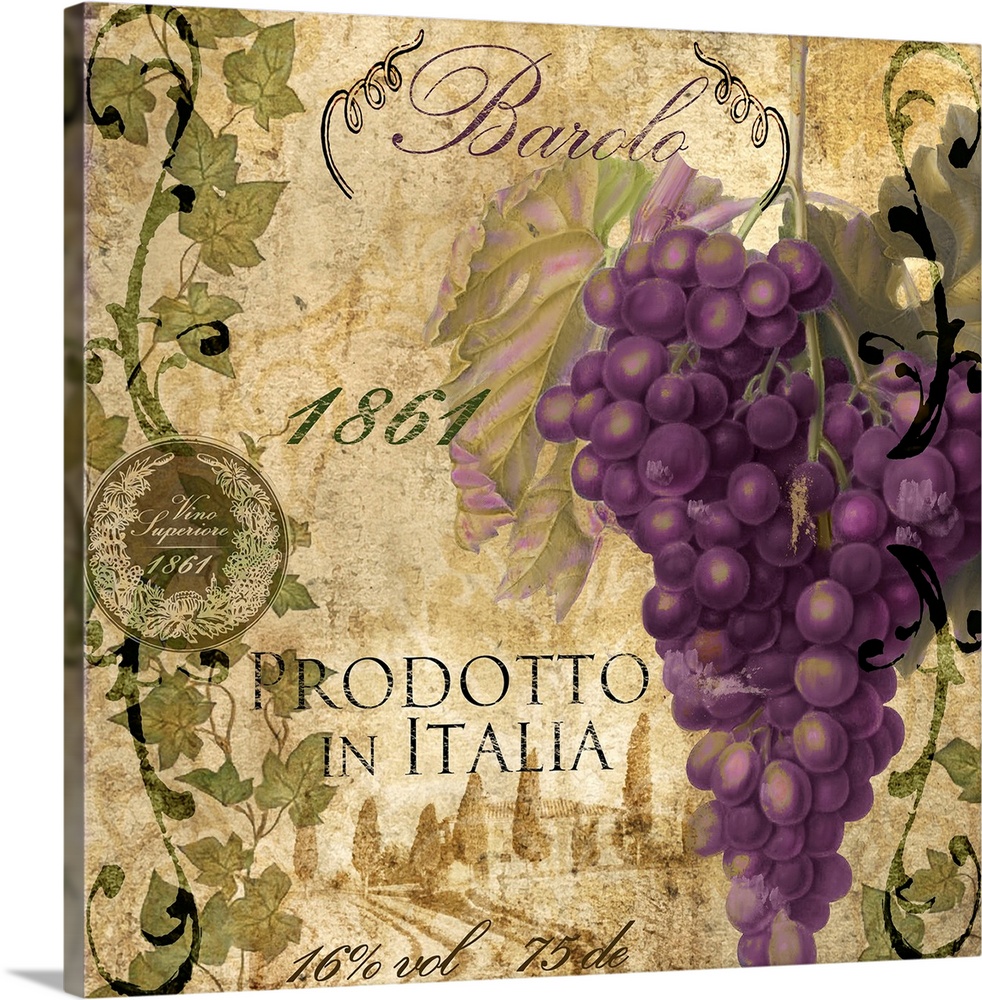 "Vintage Wine Label from Italy,Barolo"