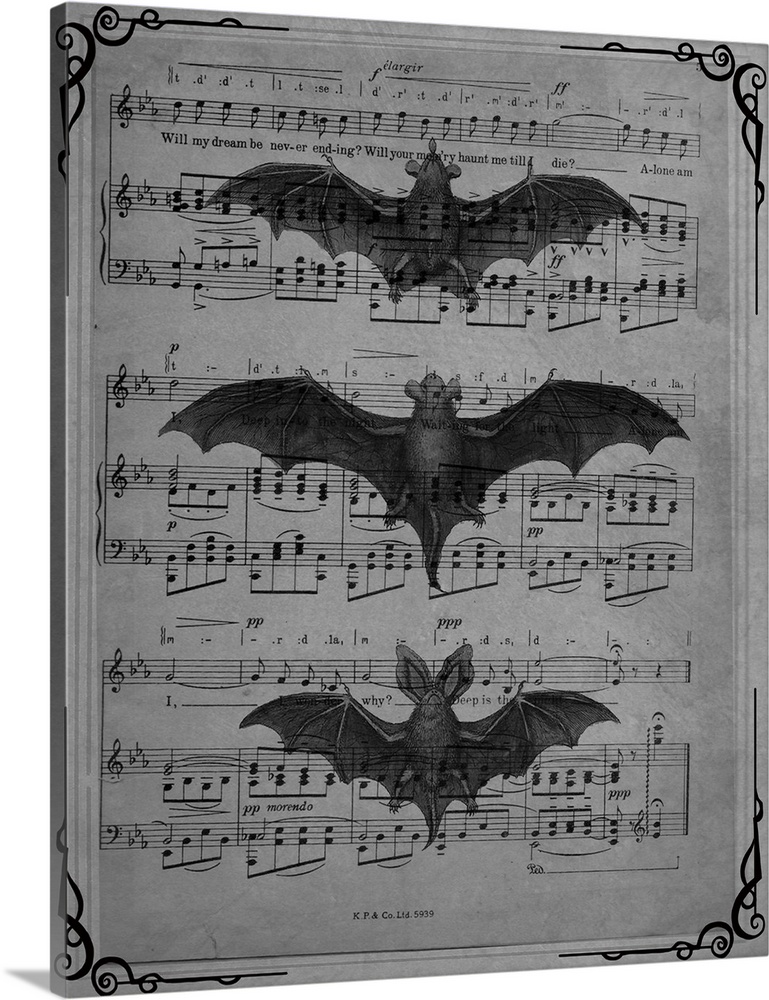 Black and white vintage sheet music with three bats on top.