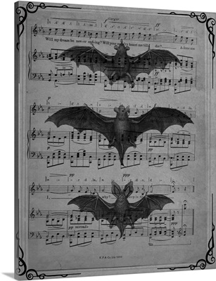 Vintage Bats 1