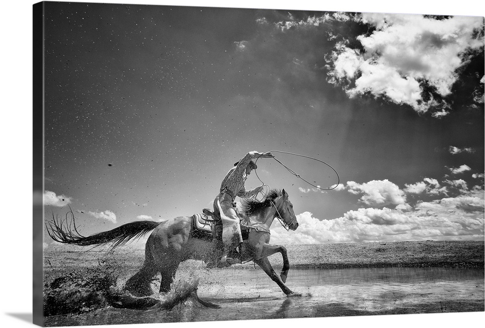 roper swinging lasso while galloping horse thru water