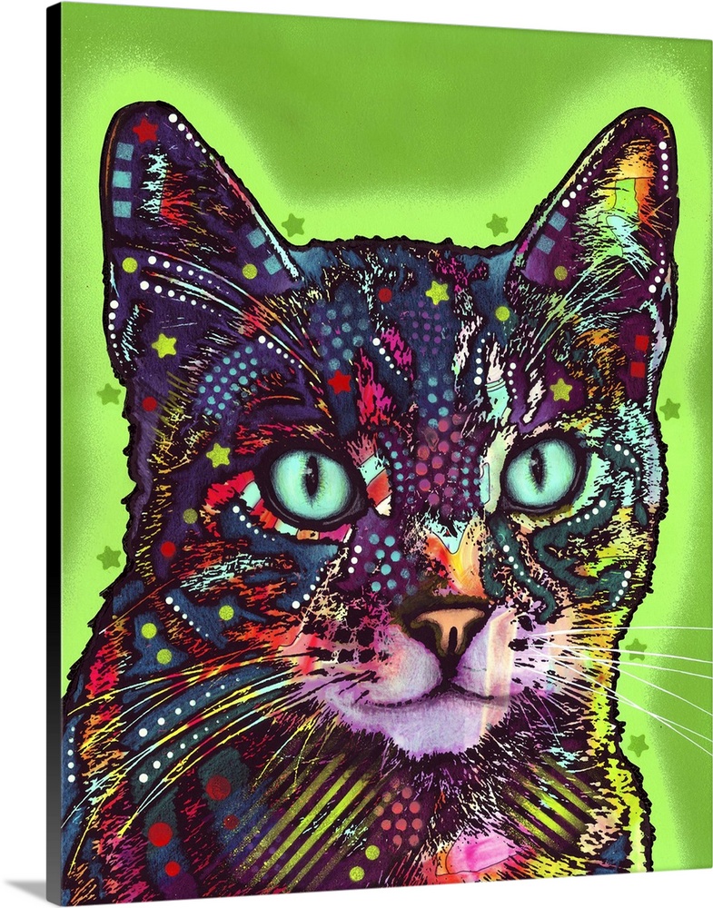 Graffiti style art with an illustration of a cat in different colors on a green background with a bright green spray paint...
