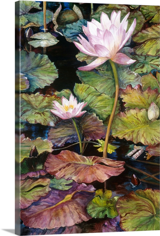 Colorful contemporary painting of light pink waterlilies standing up in a pond surrounded by lily pads.
