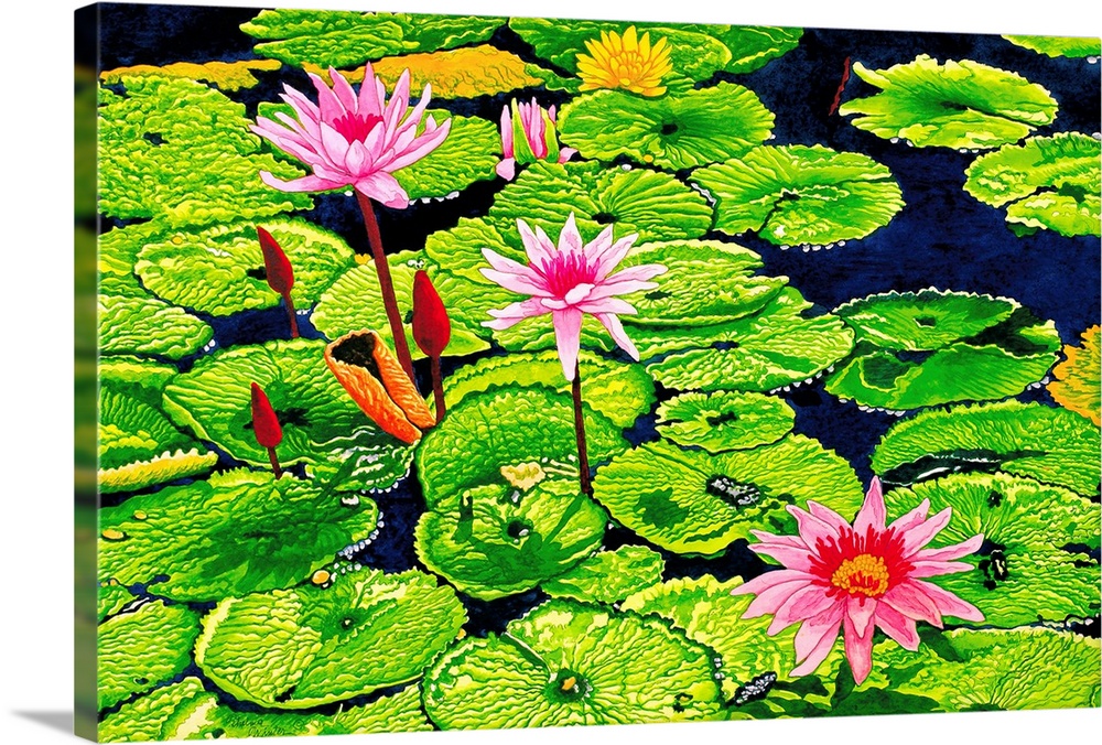 Contemporary painting of a flowering water lilies in a pond.