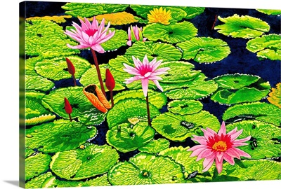 Water Lilies II