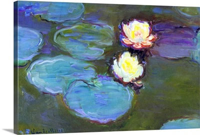 Water Lily, detail