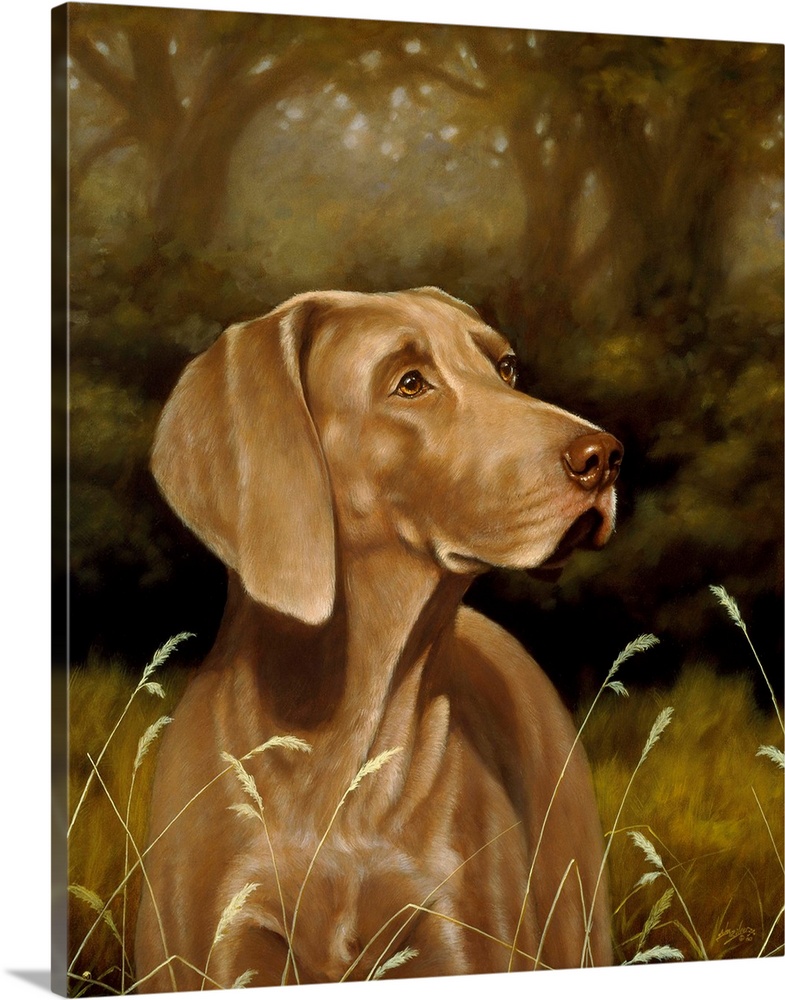Contemporary painting of a weimaraner.