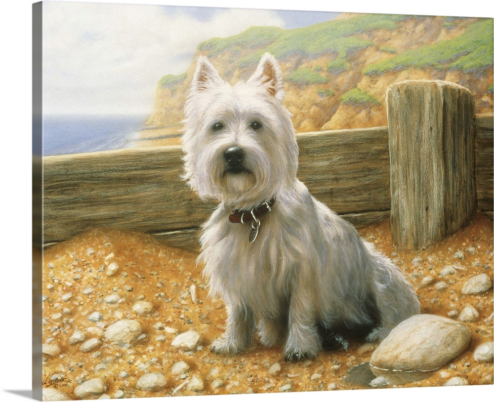 Contemporary painting of a westie.