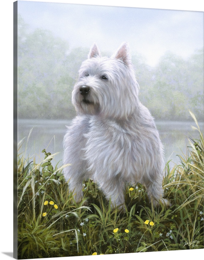 Contemporary painting of a Westie sitting in a field of tall grass.