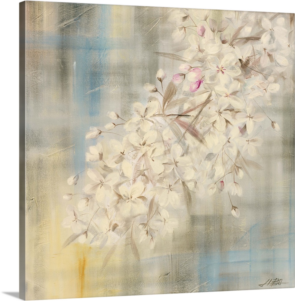 White Cherry Blossom II