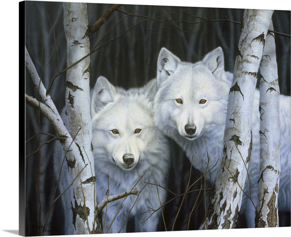 Frame USA Wolves-RUSFRE17358 31.5x39.5 by Rusty Frentner in a Affordable Black Large Print 31.5x39.5