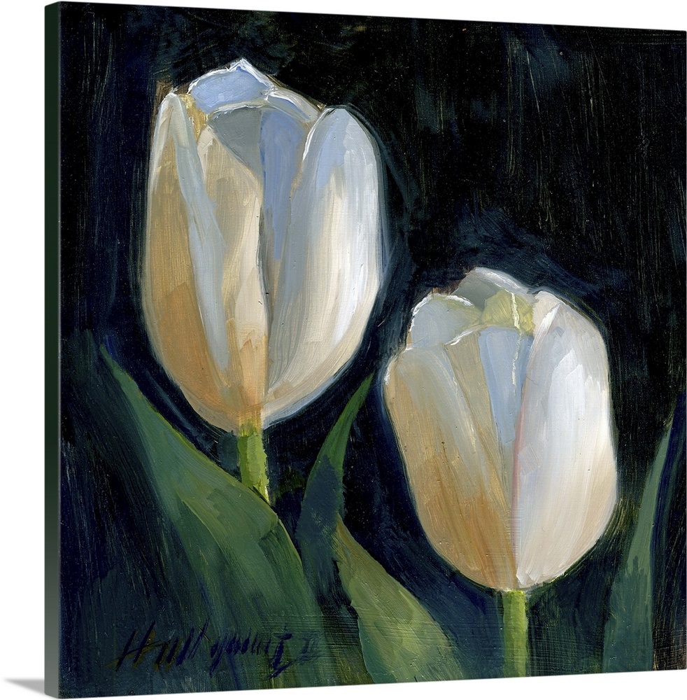 White Tulips Wall Art, Canvas Prints, Framed Prints, Wall Peels Great