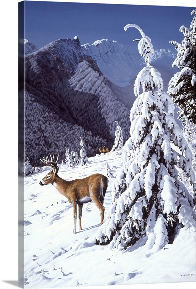 A whitetail deer stands next to a snow covered tree.