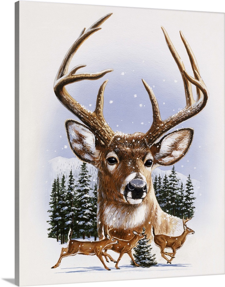 Whitetail Deer Montage, Winter