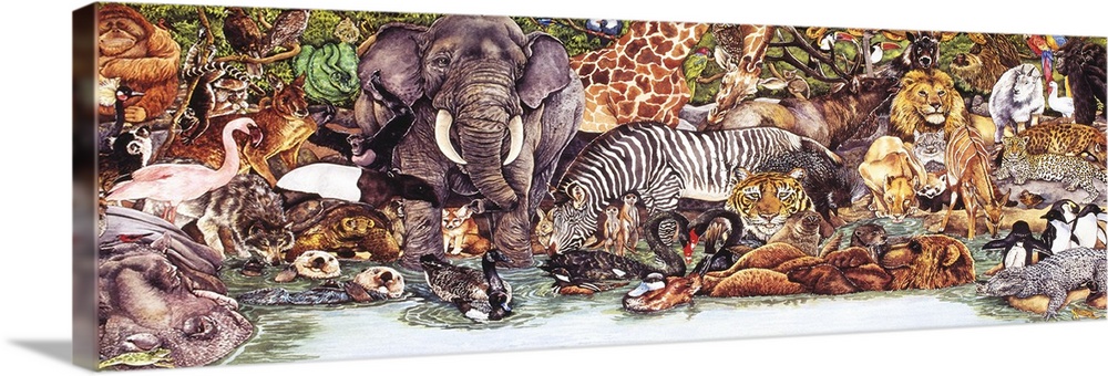 Wild Animal Collage Wall Art, Canvas Prints, Framed Prints, Wall Peels |  Great Big Canvas