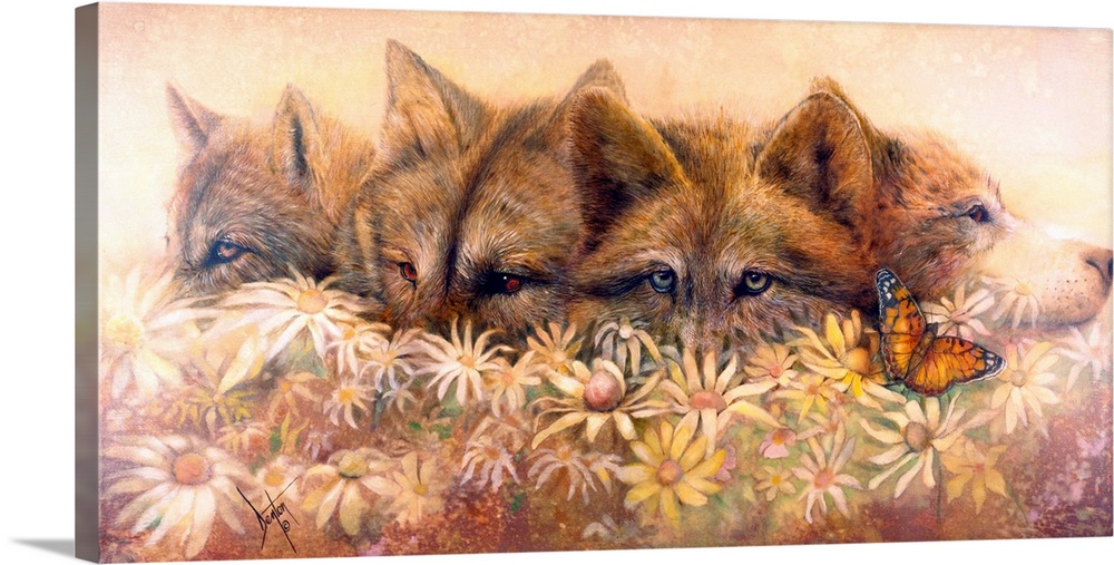 Wolves peeking out of daisies, a butterfly is on the flowers.