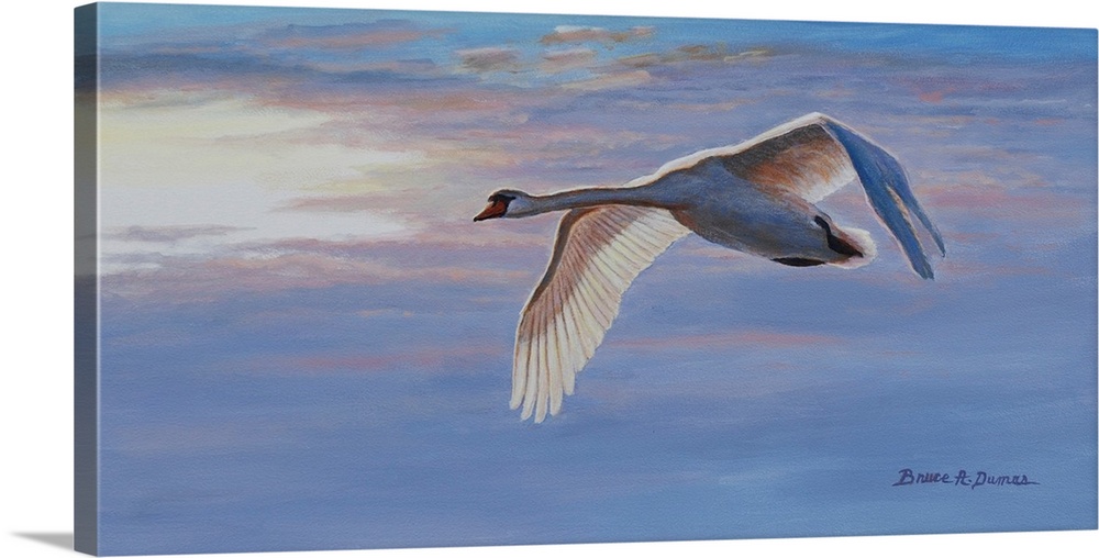 Contemporary artwork of a swan in flight at sunset