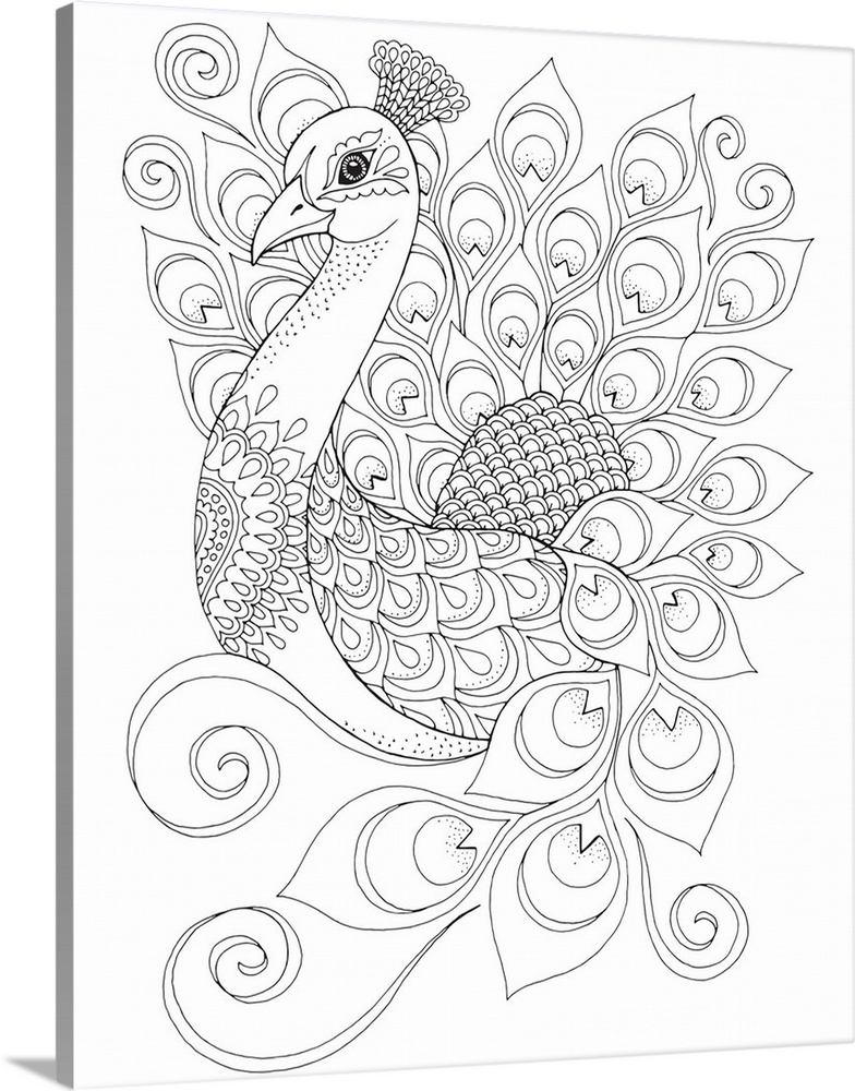 Black and white lined design of a peacock.
