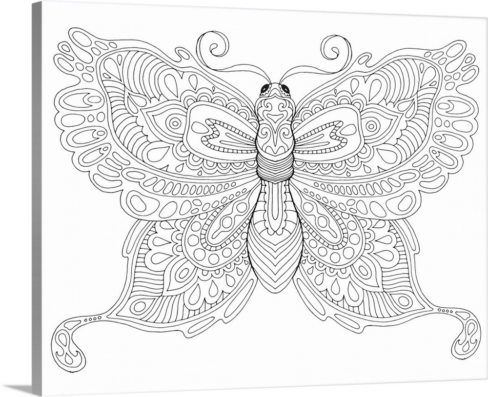 Black and white line art of an intricately designed butterfly.