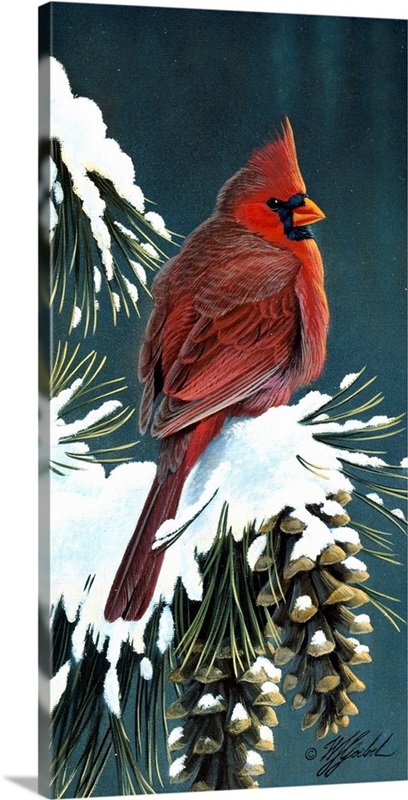 Winter Cardinal | Great Big Canvas