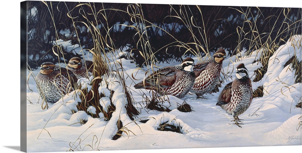 A group of quail in the snow.