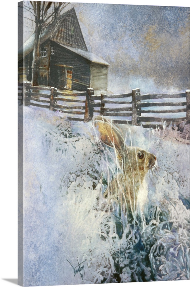 A contemporary painting of a long eared wild rabbit seen in the snowy grass outside of a country home.