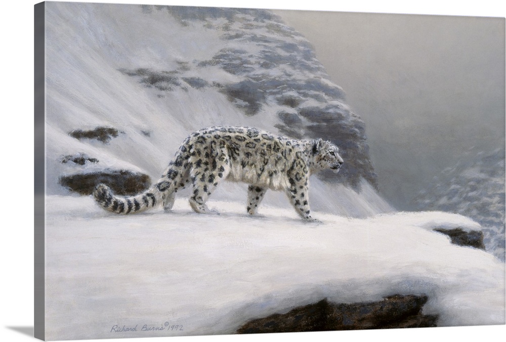 Contemporary painting of a snow leopard on a snowy overlook.