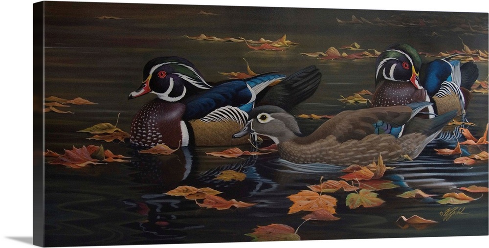 Ducks in water with leaves.