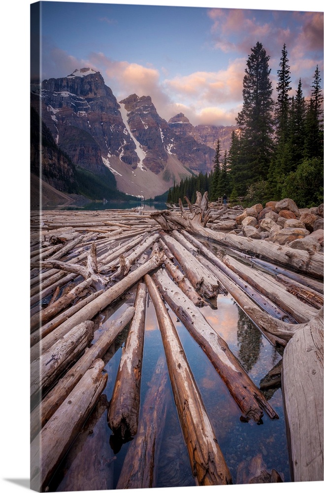 Landscape photograph with logs piled up in a river with snowy mountains in the background.