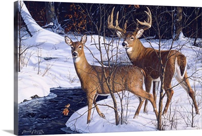 Zone Two Whitetails